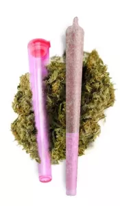 CBD Joint